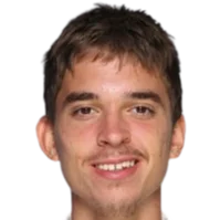 Logo Dino Prizmic